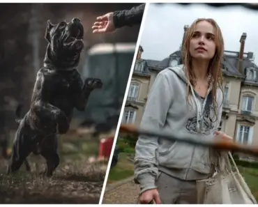 Ένας δισεκατομμυριούχος στοιχηματίζει ένα εκατομμύριο δολάρια ότι κανείς δεν μπορεί να ηρεμήσει τον σκύλο του – Άστεγη νεαρή κοπέλα (19) τον διαψεύδει